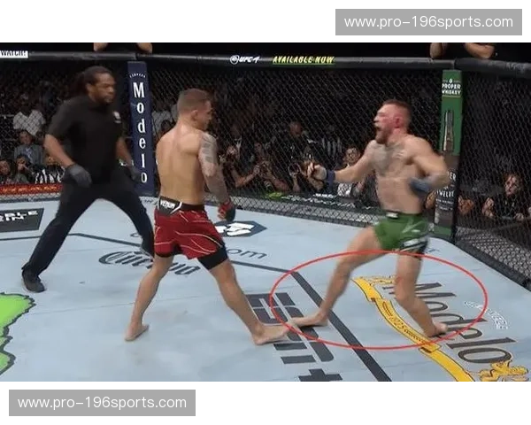 金钱、狂妄与跨界神话：麦格雷戈与梅威瑟的“世纪豪赌”全纪实